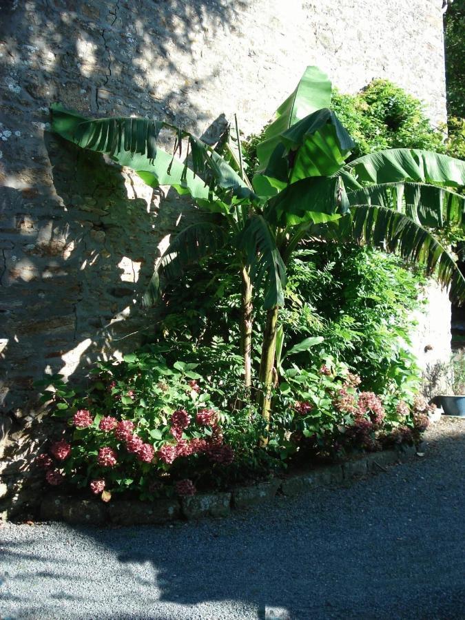 Le Clos Des Tilleuls La Vendelee Ngoại thất bức ảnh